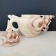 Chinese decorative teapot dragon in cut stone