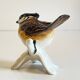 Small bird vintage german porcelain