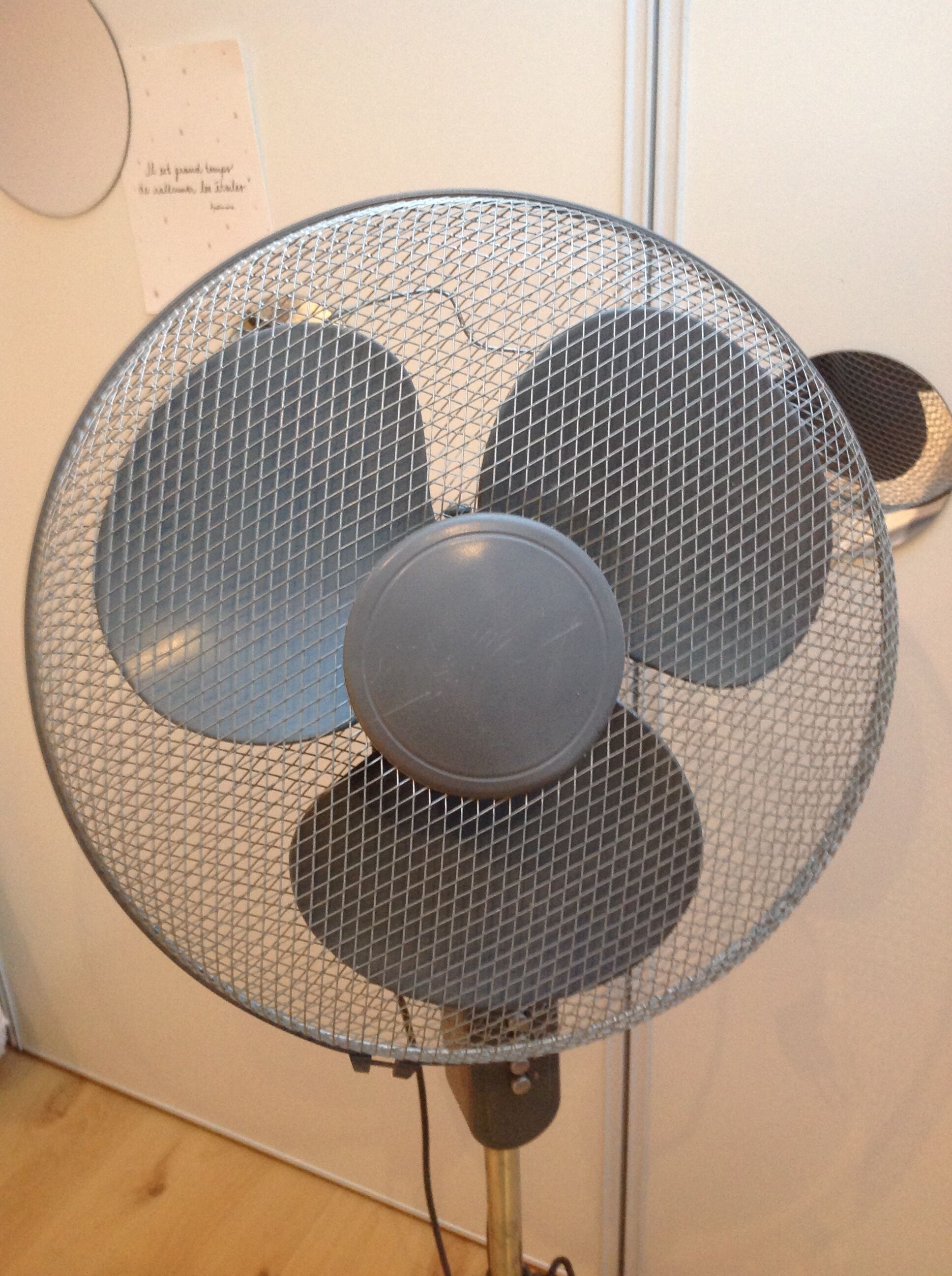 Anthracite grey fan on foot tripods 70/80