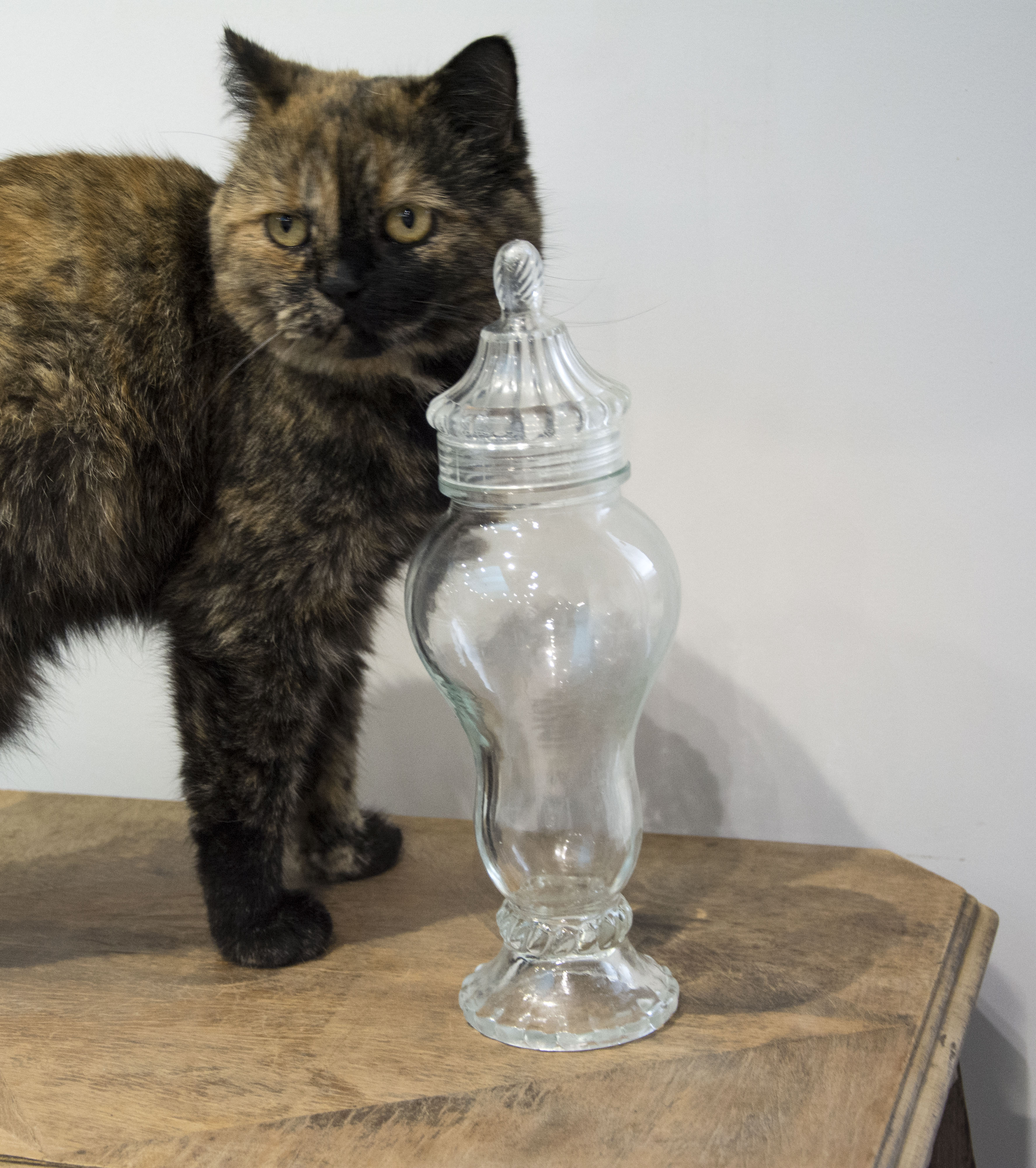 Kate glass candy