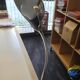 Rimsa desk lamp