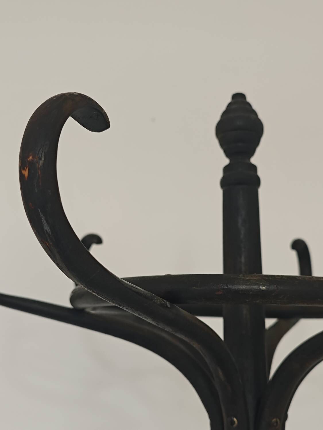 Porte manteau perroquet noir Baumann 1950