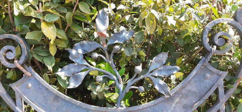 Portillon plein, fer jardin, H247x110cm, ancien, porte extérieure