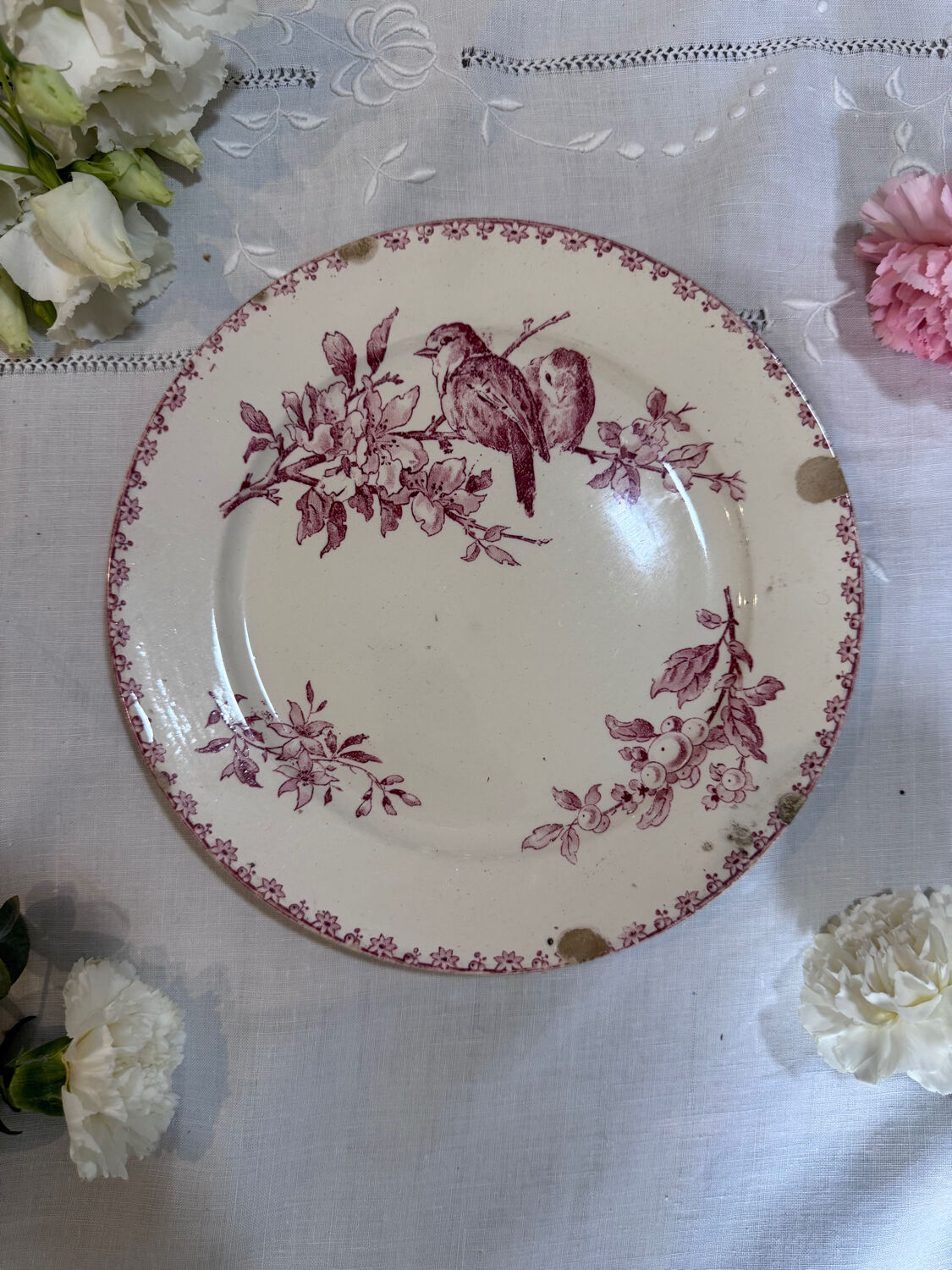 Favourite Plate Sarreguemines