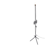 Black iron floor lamp