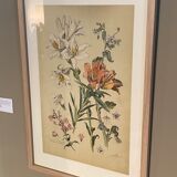 Lithography of flowers 1890