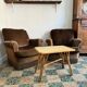 Velvet frog armchairs