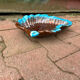 Plat vallauris
