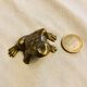 Small brass frog