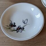 Series of plates