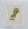 Old Botanical Engravings 19th Century – Naturalist Lithographs Flowers &
