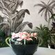Pot-cover in dabbling