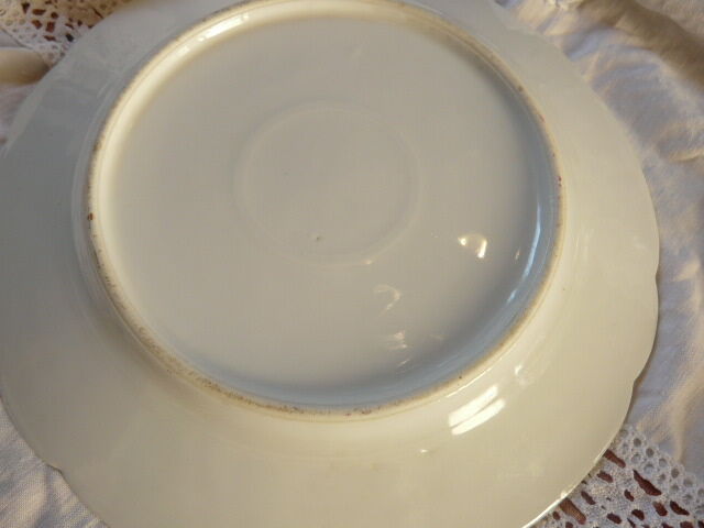 10 porcelain dessert plates xixth century