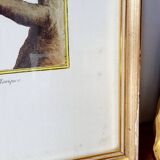 Red bird frame