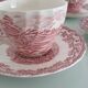 Myotts Country Life Set of 6 Cups and Saucers - England