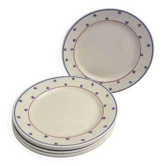 6 dinner plates