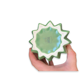 Cactus Vase By Asa Selection