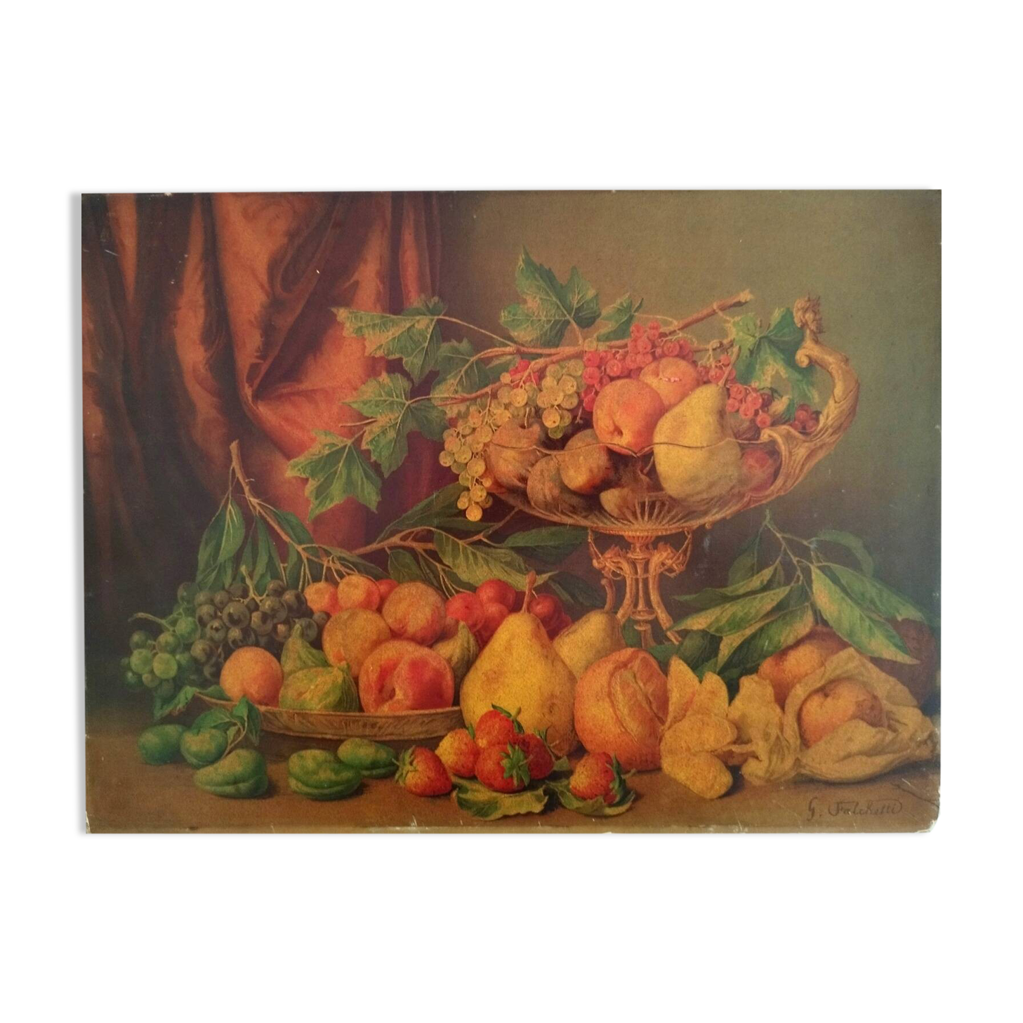 Chromolithograph Still Life Fruits Signed G. Falchetti