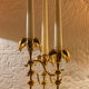 Chandelier Palm Nagel années 70