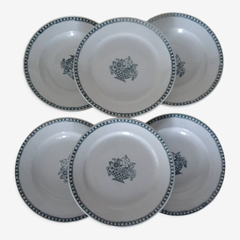 6 assiettes saint Amand faïence ancienne  corbeille de fleurs bleues 332112