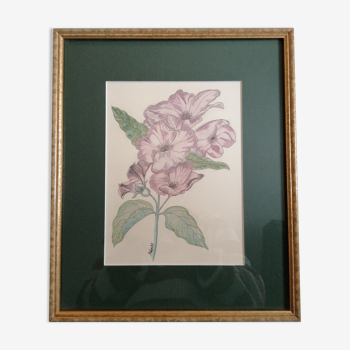 Botanical painting pink flowers