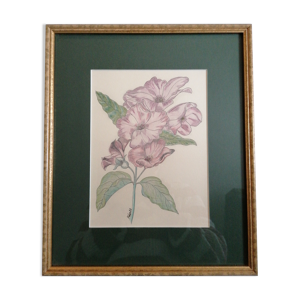 Tableau botanique fleurs