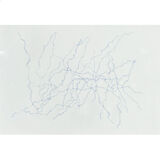 Drawing 21X29.7 made and signed by the Italian artist Maria Chiara Re. 2022.