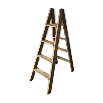 Ancient oak stepladder