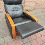 Luxury lusch vintage leather armchair