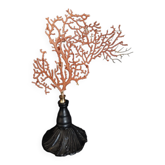 Cabinet of Curiosities red gorgon paramuricea clavata on base