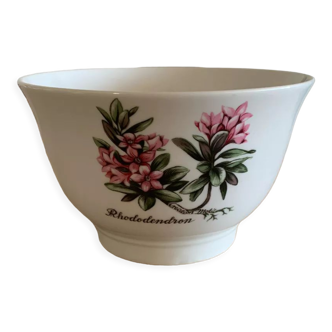 Bowl Winterling Bavaria Mobil Fine Porcelain