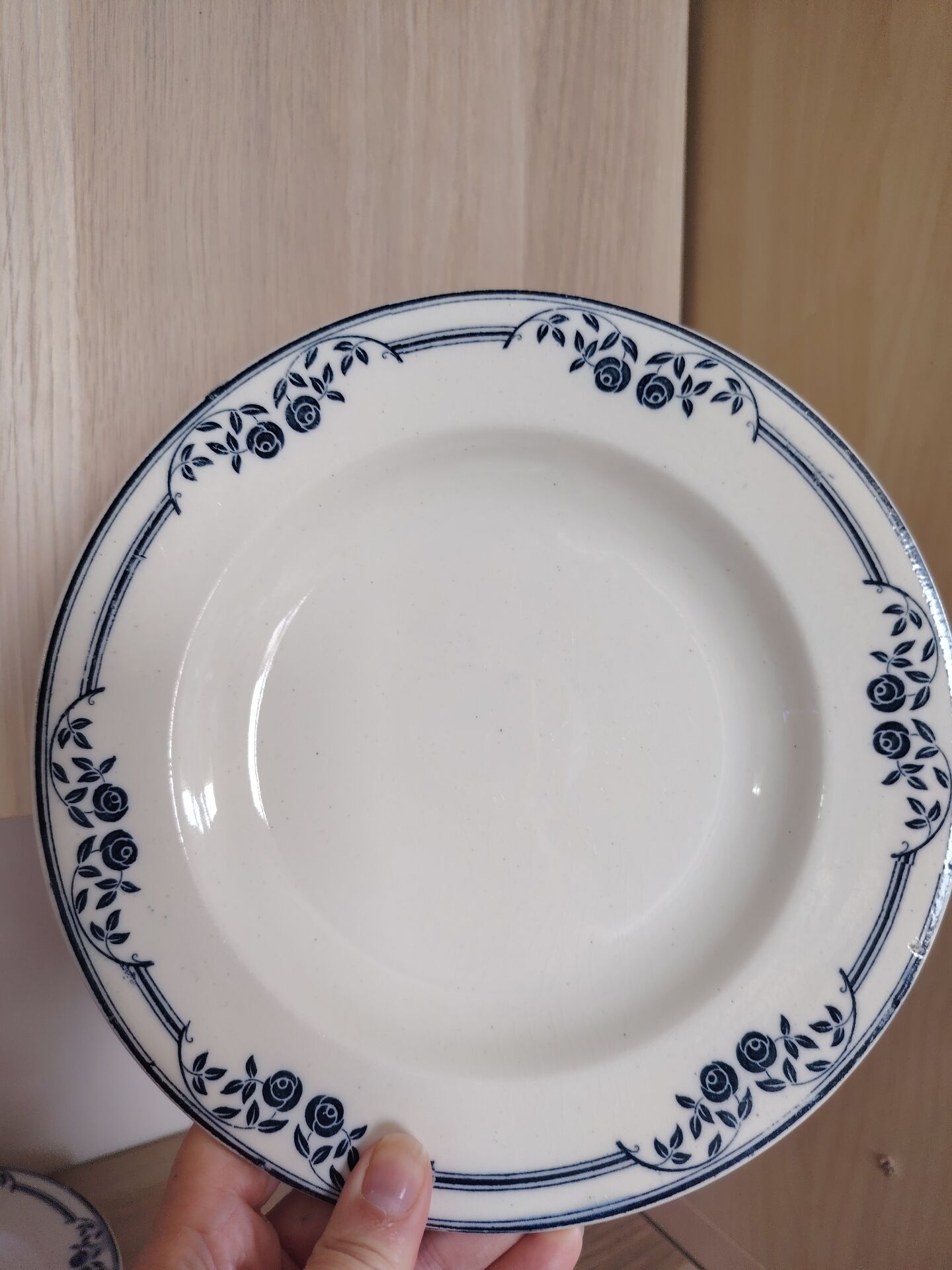4 deep plates Saussure Ironstone