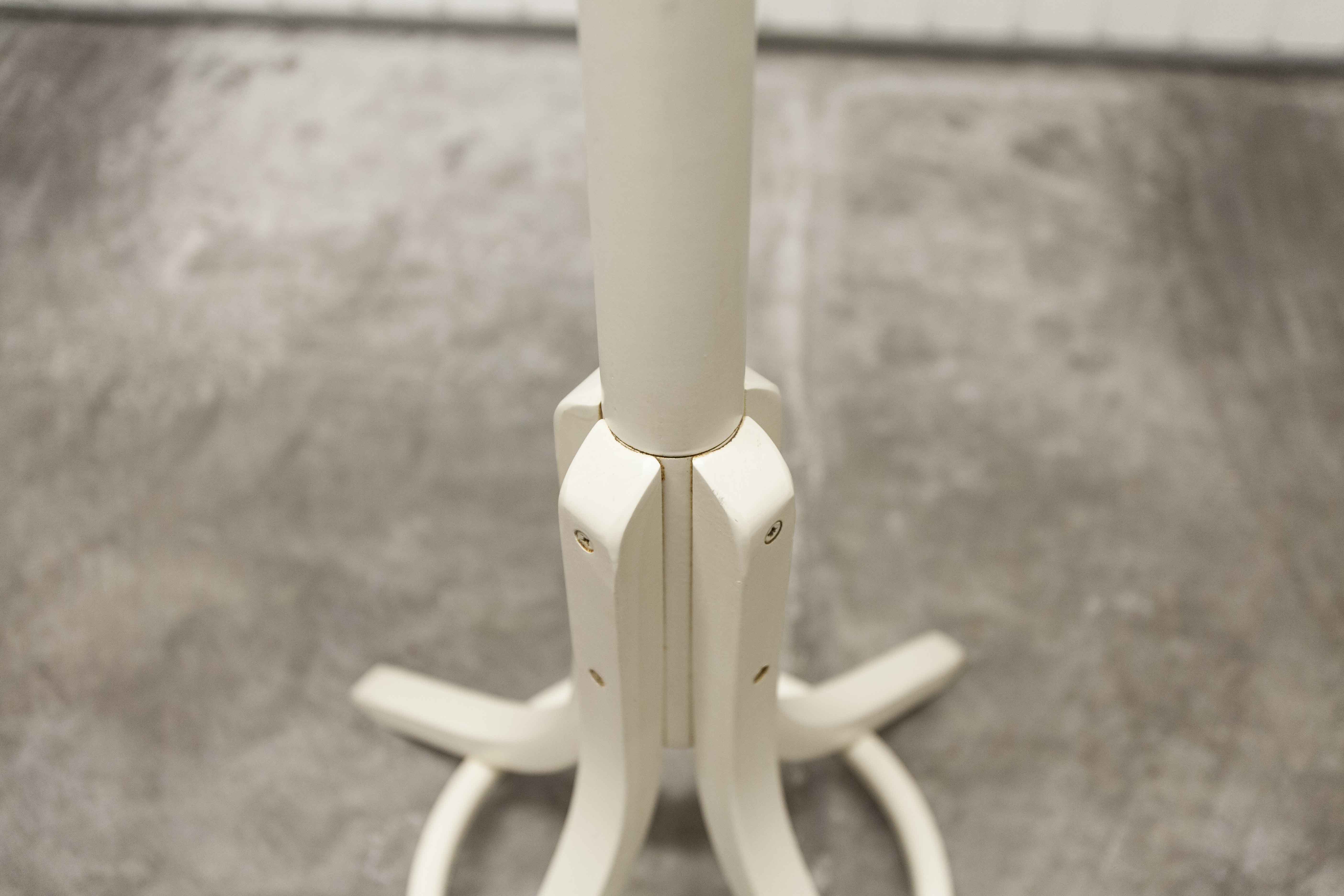 Parrot wears white Baumann coat 1970