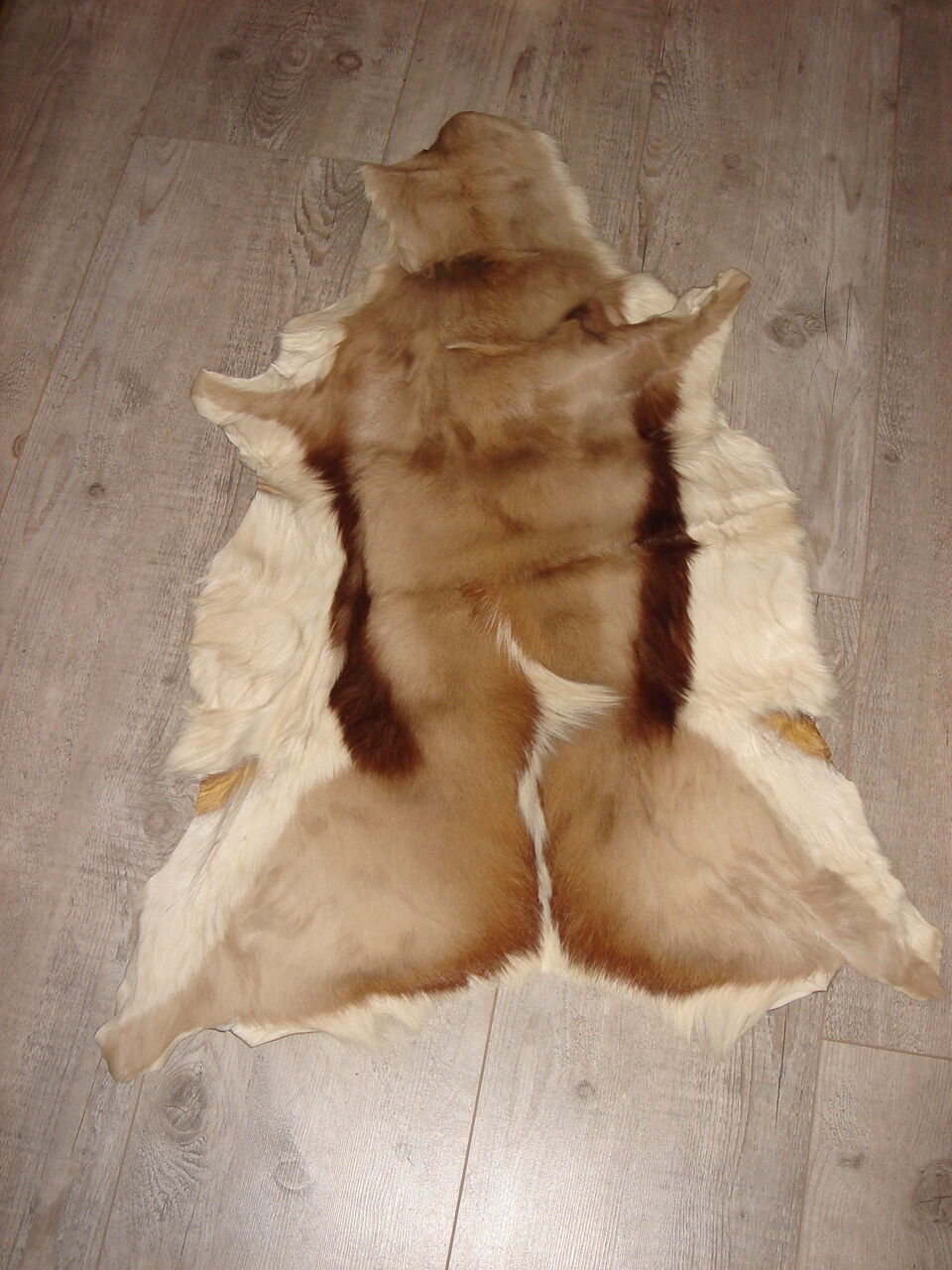Skin of goat or tanned impala, ideal descent of bed 50x100cm
