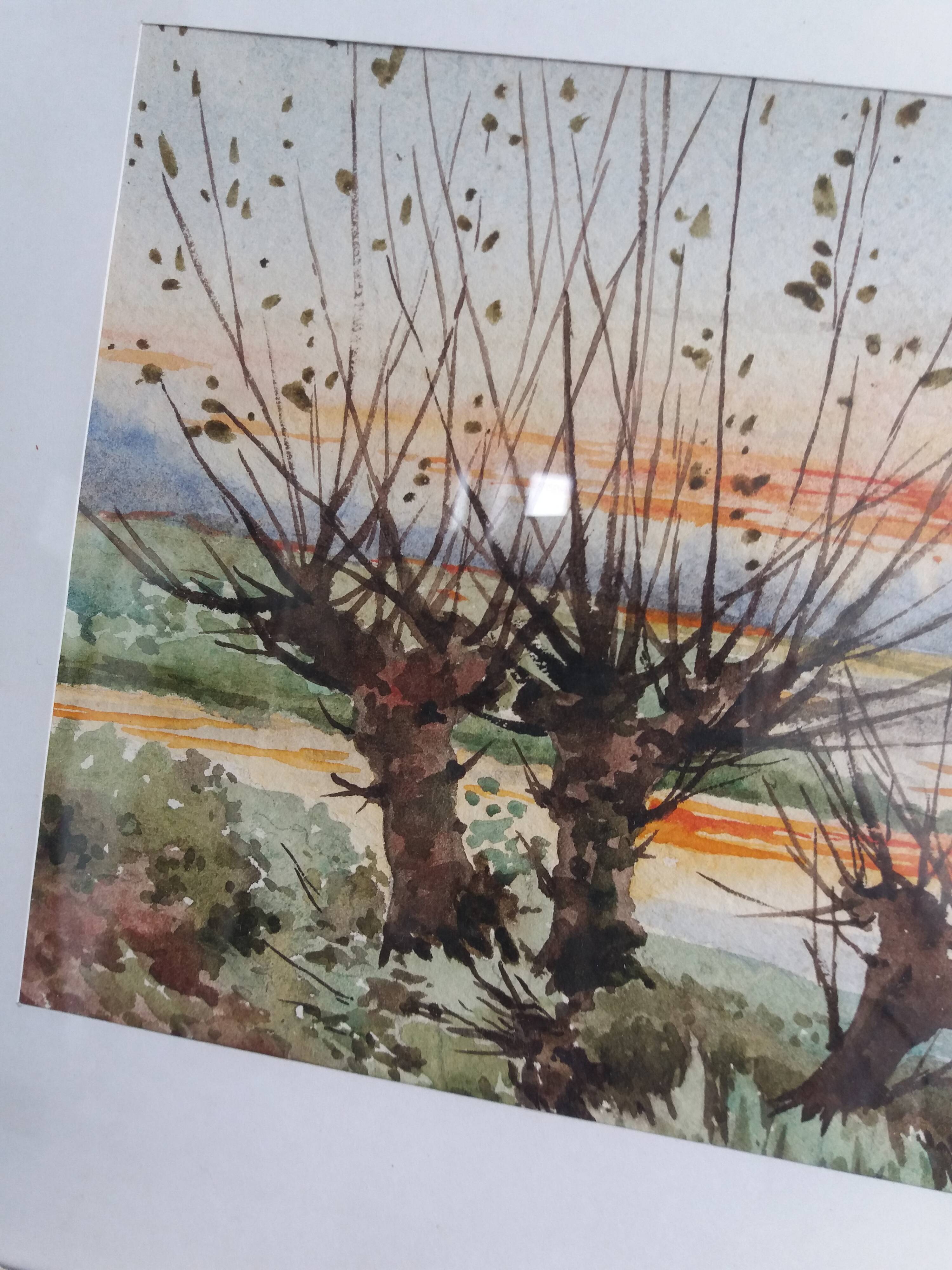 Watercolor signed Thinel, landscape, Marais Poitevin