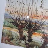 Watercolor signed Thinel, landscape, Marais Poitevin