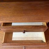 Scandinavian secretary from the 60s