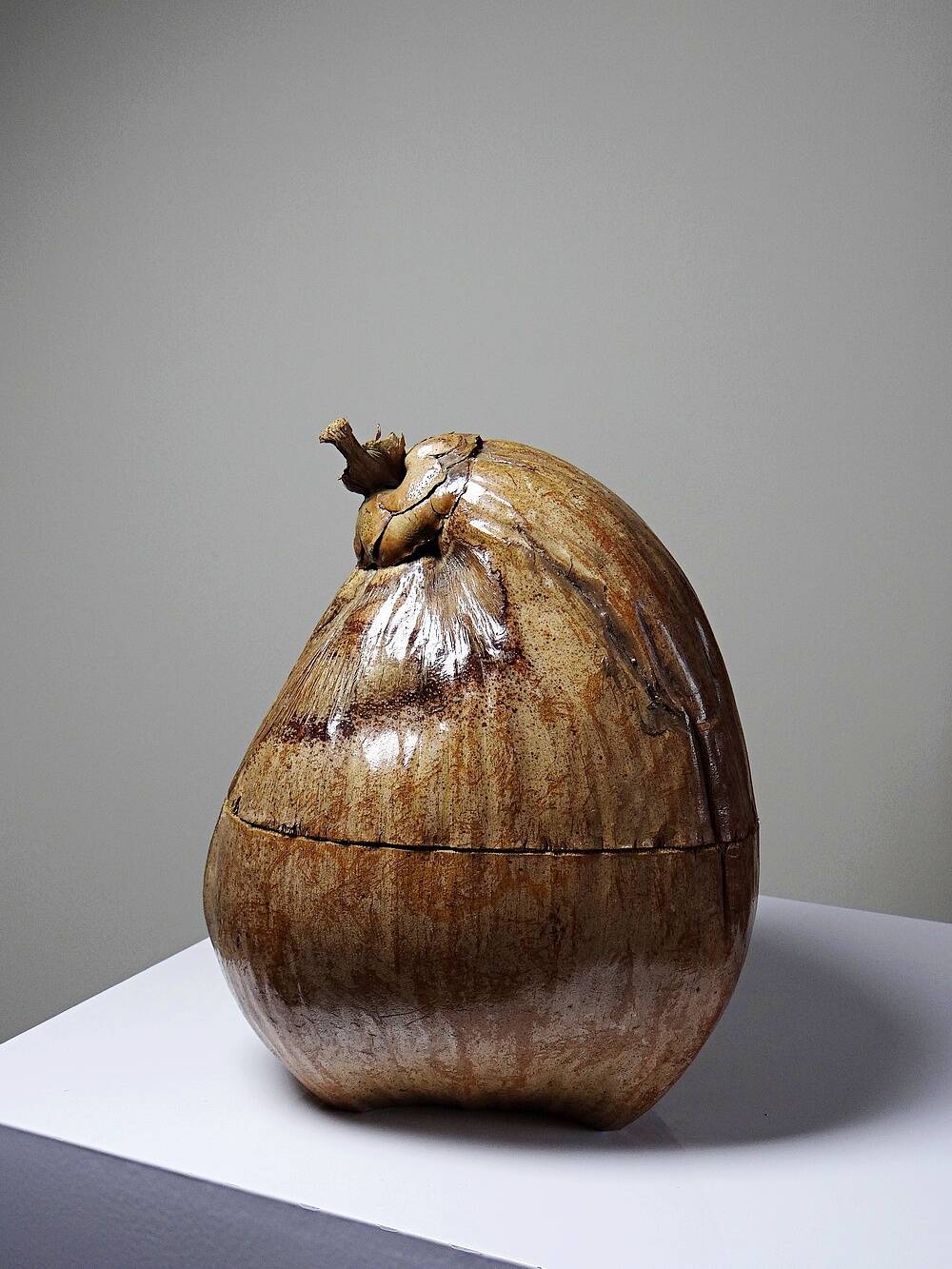 Curiosity vintage box from the 50s-60s, naturalised coconut ice bucket.
