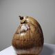 Curiosity vintage box from the 50s-60s, naturalised coconut ice bucket.
