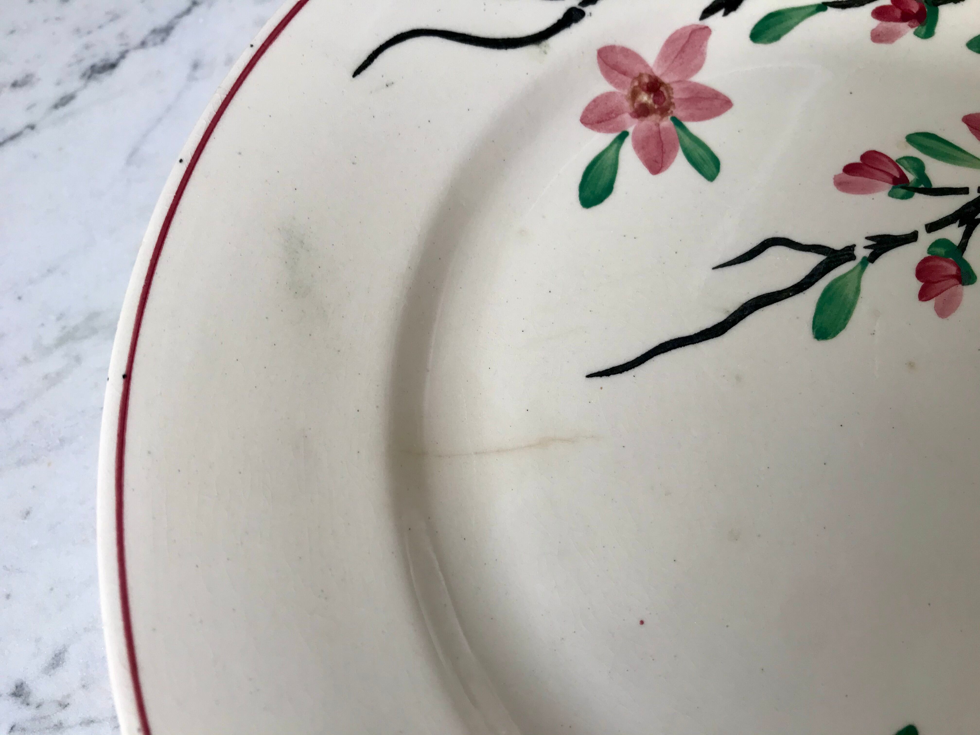 5 flat plates Digoin Sarreguemines model Aigues-Vives hand painted years 30-40