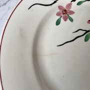 5 flat plates Digoin Sarreguemines model Aigues-Vives hand painted years 30-40
