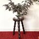 Old tripod stool in solid wood