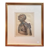 Old Print Engraving Lithograph Anatomy XIX Framed BOURGERY Lemercier