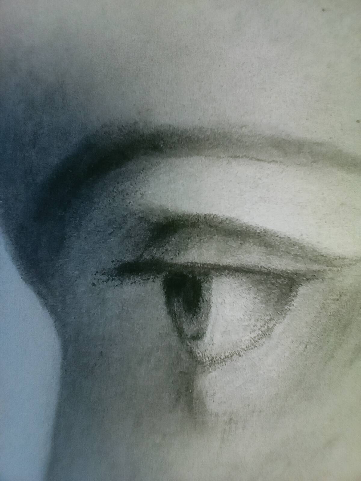 Magnificent portrait pencil drawing 19th century