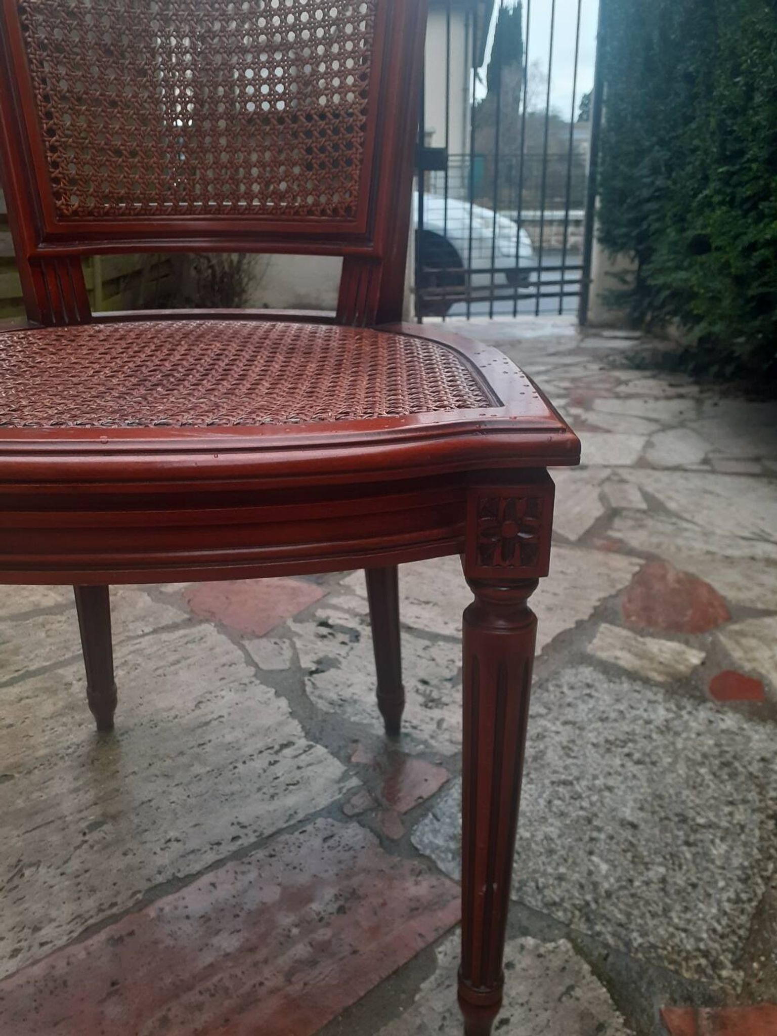 Chaise Cannes en bois sculpté style Louis XVI