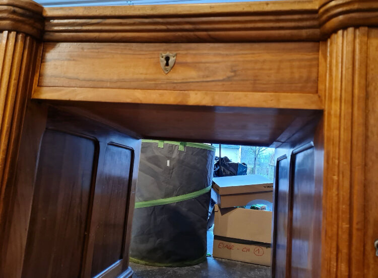 Desk carved counter 1900