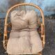 Set of 2 vintage shell chairs from the 1950s.