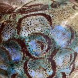 Accolay pitcher