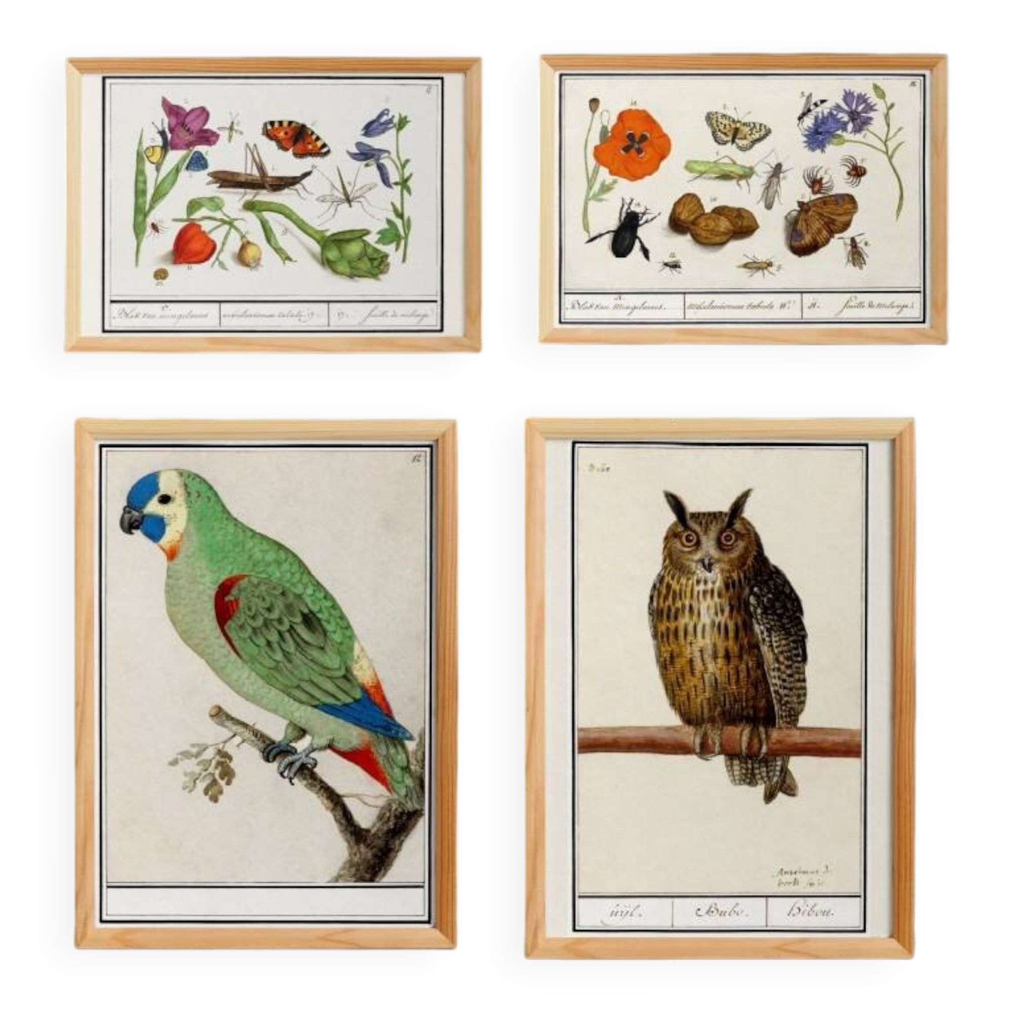 Set of 4 small posters, based on engravings from 1610