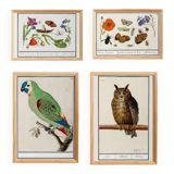 Set of 4 small posters, based on engravings from 1610